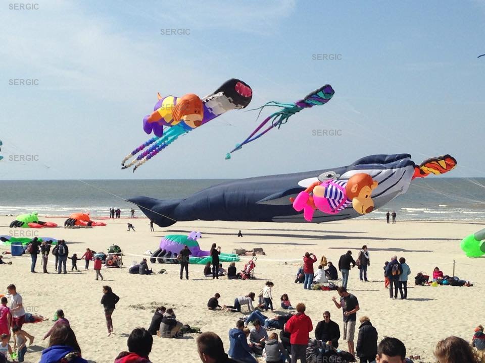 /picture/helios/116260001/APOLLO 301/9_2026-02-09CET16h00-06.jpg